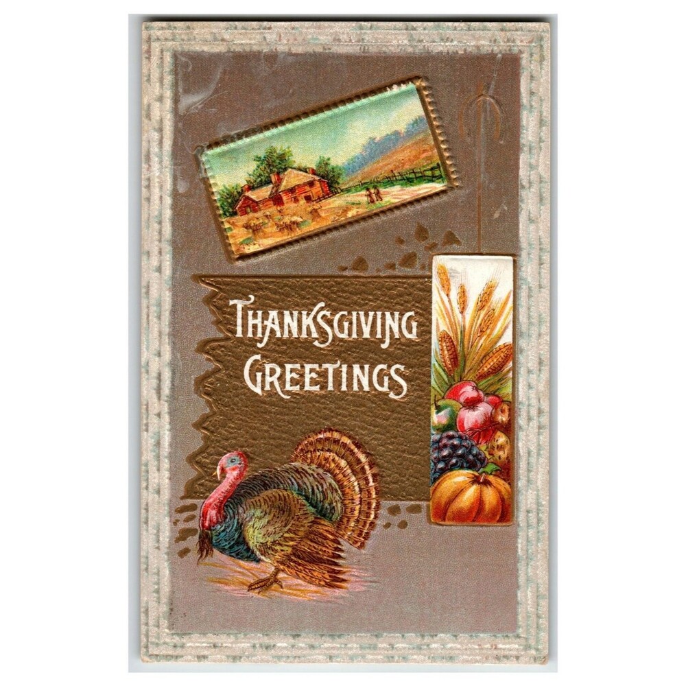 Vintage 1911 Thanksgiving Postcard Turkey Farm Harvest Embossed DeWitt Iowa